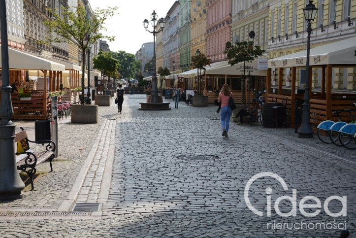 Lokal Wynajem Szczecin Centrum 8