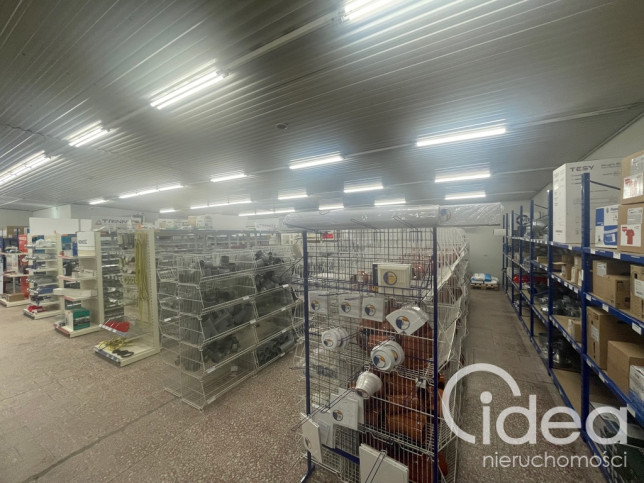 Lokal Wynajem Szczecin Dąbie 4