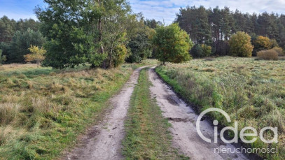 Działka Sprzedaż Warnowo