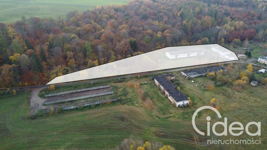 Magazyn Sprzedaż Dziwogóra