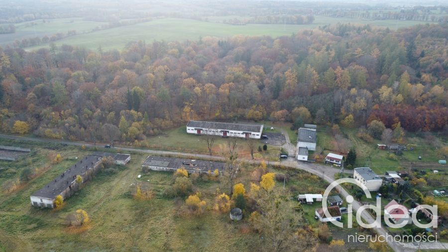 Magazyn Sprzedaż Dziwogóra
