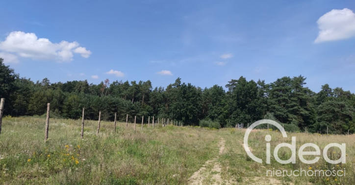 Działka Sprzedaż Kościno 4