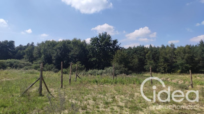 Działka Sprzedaż Kościno