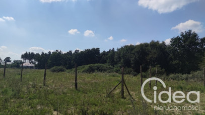 Działka Sprzedaż Kościno