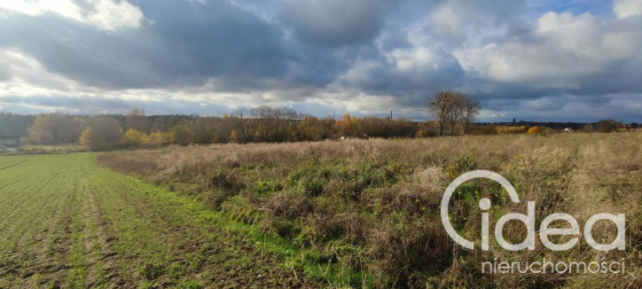 Działka Sprzedaż Goleniów 5