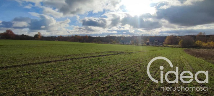 Działka Sprzedaż Goleniów 6