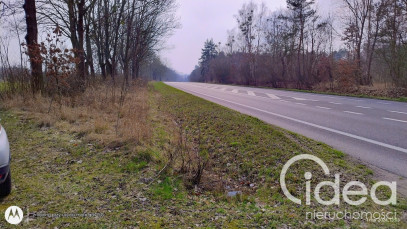 Działka Sprzedaż Dębina