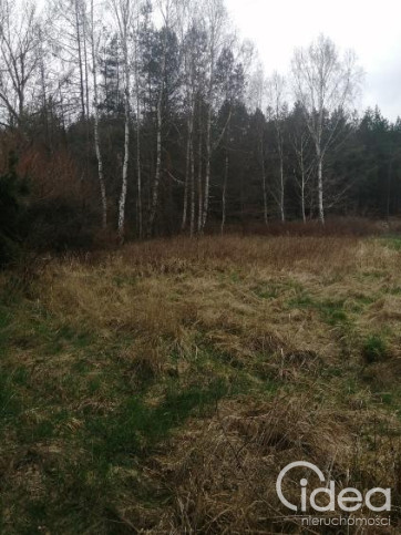 Działka Sprzedaż Stawno 6
