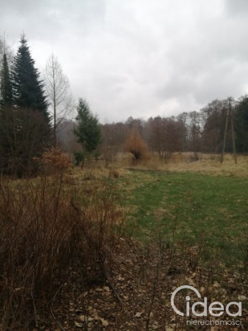 Działka Sprzedaż Stawno 1