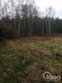 Działka Sprzedaż Stawno