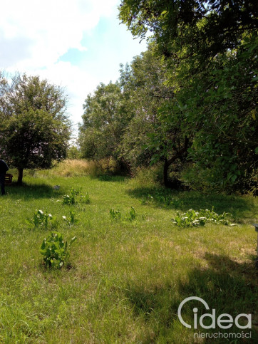 Działka Sprzedaż Dębina 2