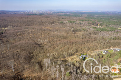 Działka Sprzedaż Szczecin Płonia