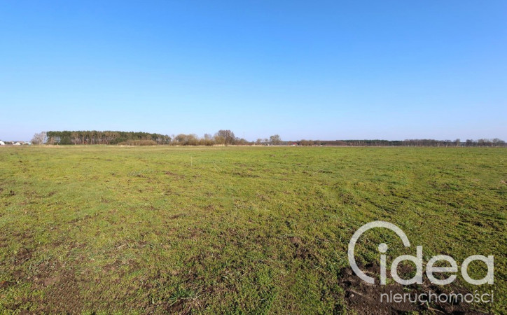 Działka Sprzedaż Lubczyna 4