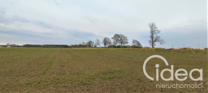 Działka Sprzedaż Lubczyna