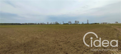 Działka Sprzedaż Lubczyna