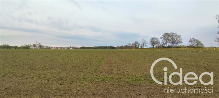 Działka Sprzedaż Lubczyna 5
