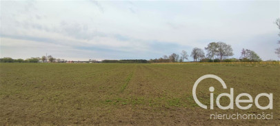 Działka Sprzedaż Lubczyna