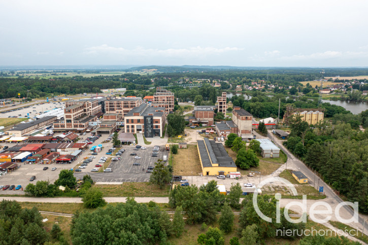 Obiekt Sprzedaż Osinów Dolny 2