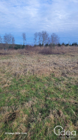 Działka Sprzedaż Zieleniewo 5