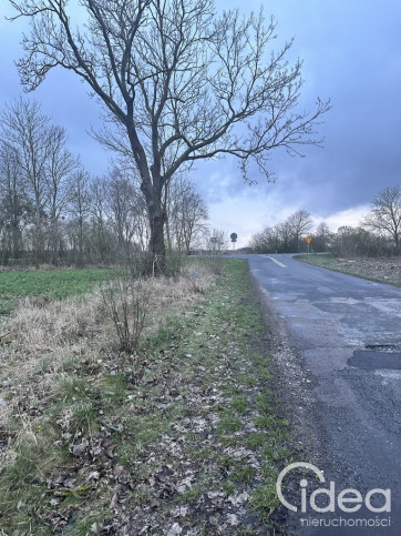 Działka Sprzedaż Ryszewko 6