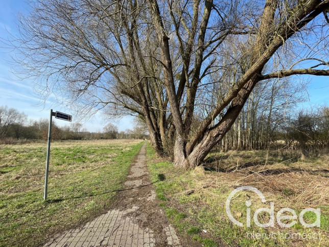 Działka Sprzedaż Trzebież 5