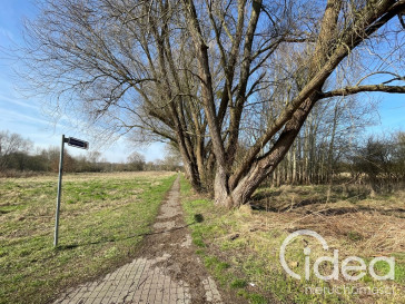 Działka Sprzedaż Trzebież