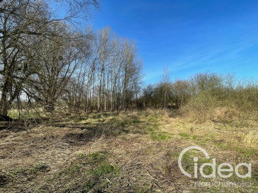 Działka Sprzedaż Trzebież