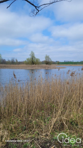 Działka Sprzedaż Zieleniewo 1