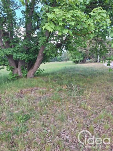 Działka Sprzedaż Tanowo Szczecińska 8