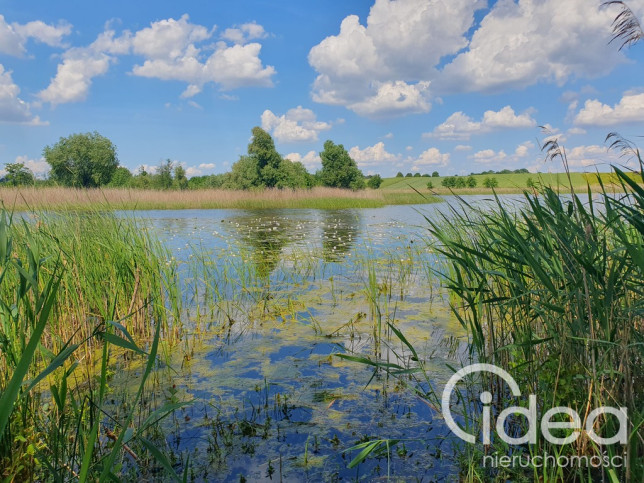 Działka Sprzedaż Zieleniewo 7