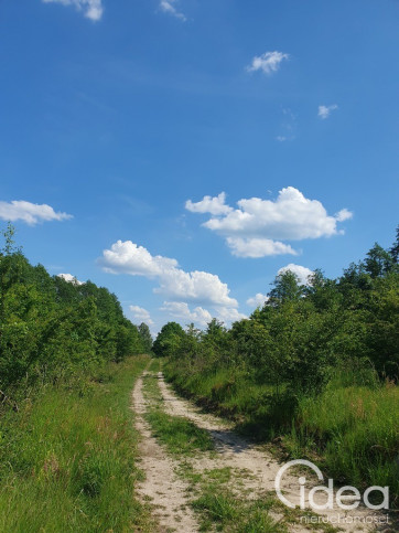 Działka Sprzedaż Zieleniewo 4