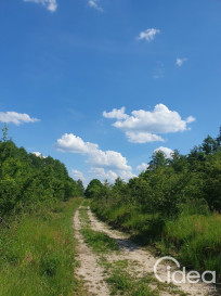 Działka Sprzedaż Zieleniewo