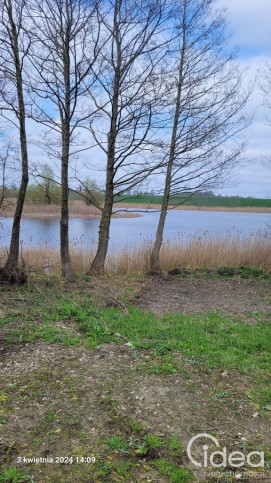 Działka Sprzedaż Zieleniewo 1
