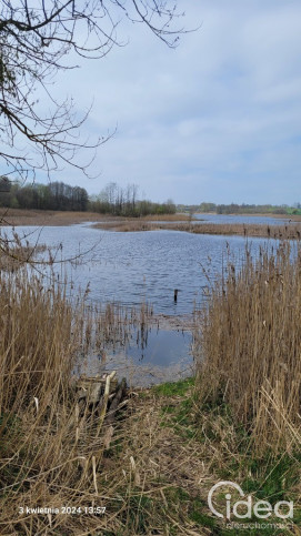 Działka Sprzedaż Zieleniewo 3