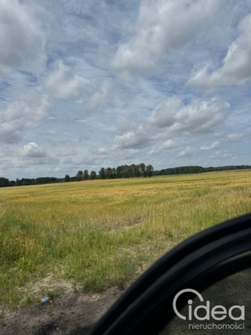 Działka Sprzedaż Dobropole 2