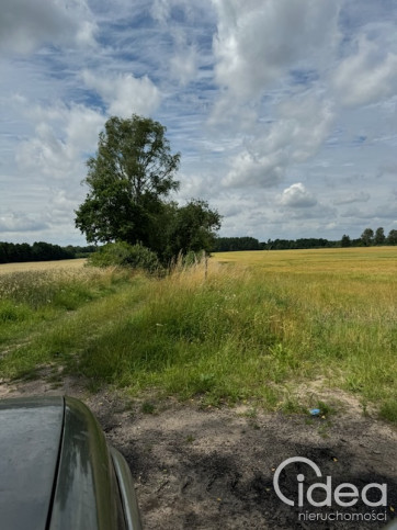 Działka Sprzedaż Dobropole 1